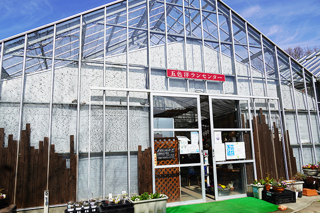 五色洋ランセンター/ウェルネスパーク五色(兵庫県/洲本市)