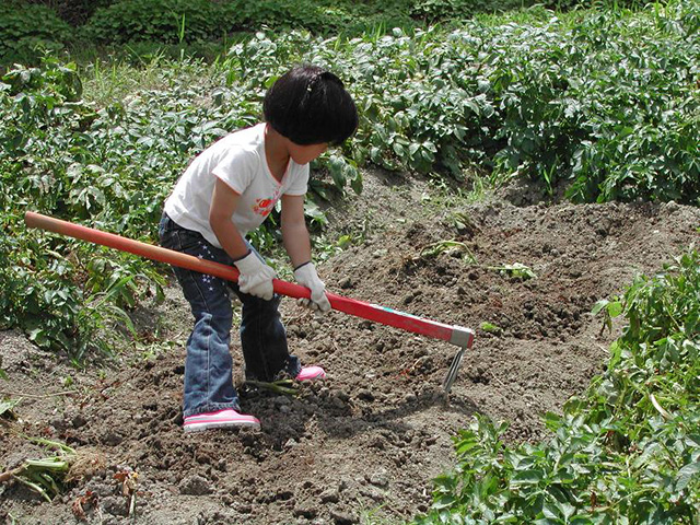 農業体験/ウェルネスパーク五色(兵庫県/洲本市)