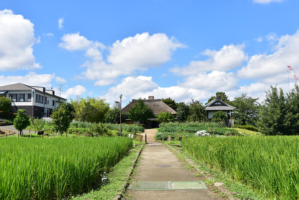 豊富な農業体験「足立区都市農業公園」（東京都/足立区）