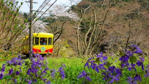 子連れにおすすめの関東の低山ハイキングスポット。ケーブルカーのある手軽なコースも