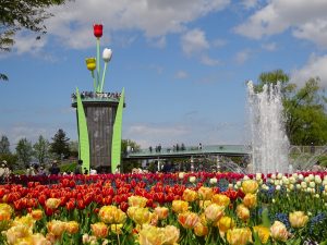 子どもといっしょに行く、長野・富山・石川の花畑スポット9選