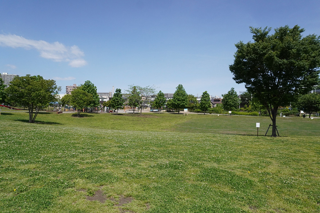 芝生広/新田さくら公園（東京都/足立区）