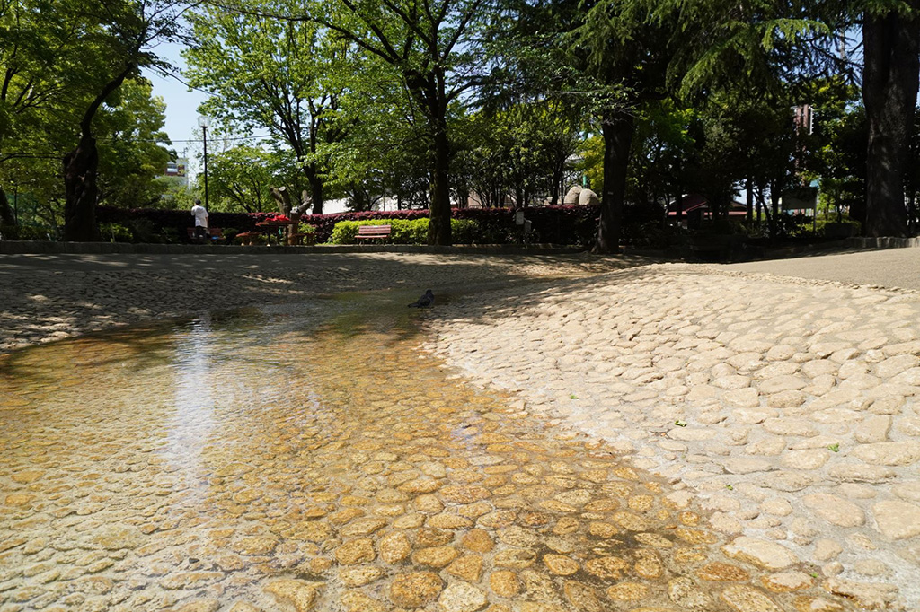 水遊びができる流れ/馬橋公園(東京都/杉並区)