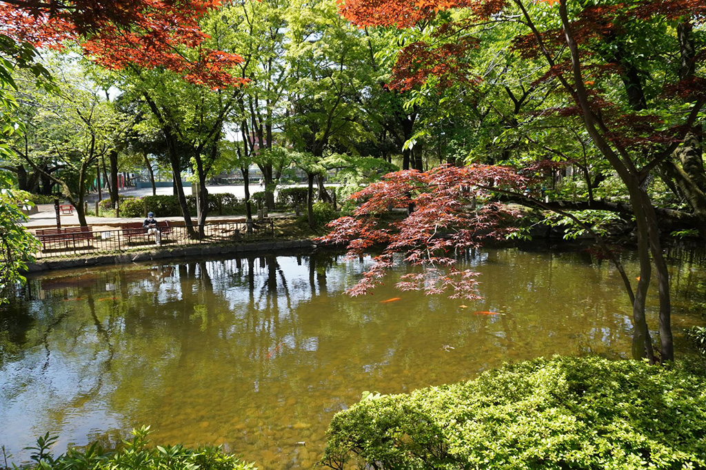 水辺の広場/馬橋公園(東京都/杉並区)