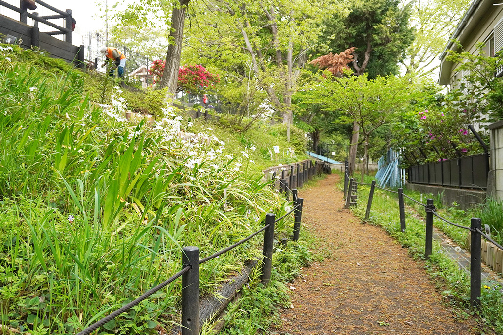 野草園/井荻公園(東京都/杉並区)
