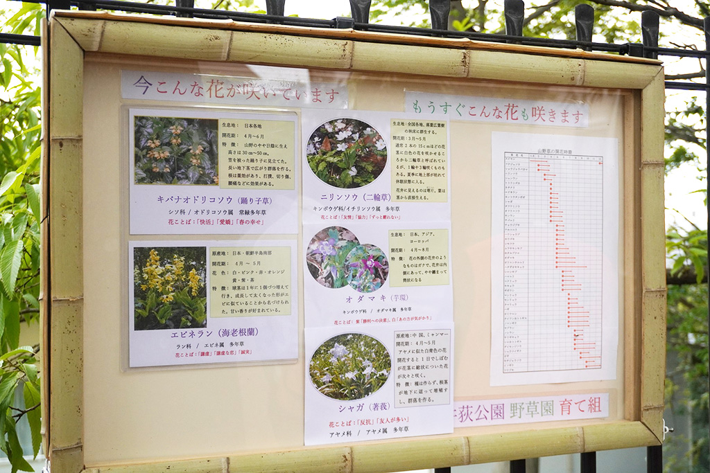 野草園の案内板/井荻公園(東京都/杉並区)
