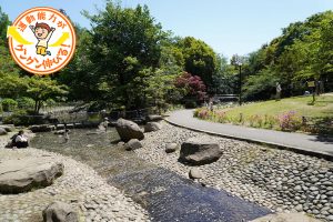 【杉並区】蚕糸の森公園は夏が過ぎても水遊びができる！カルガモの観察も