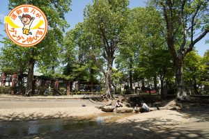 一年中水遊びが楽しめる「流れ」と遊具遊びに夢中になれる馬橋公園(杉並区)