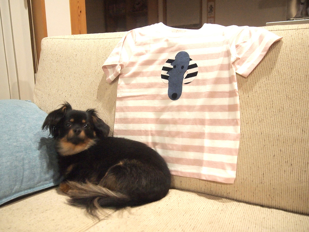 無印良品│オリジナルTシャツと犬