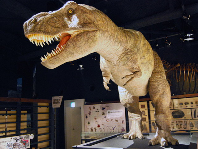 富山市科学博物館（富山市）