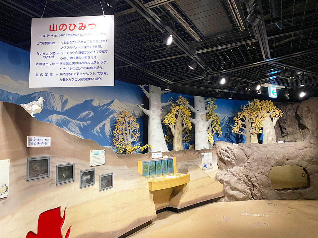 地下回廊/高岡おとぎの森公園　おとぎの森館（富山県/高岡市）