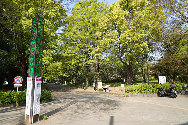 都立砧公園（東京都/世田谷区）