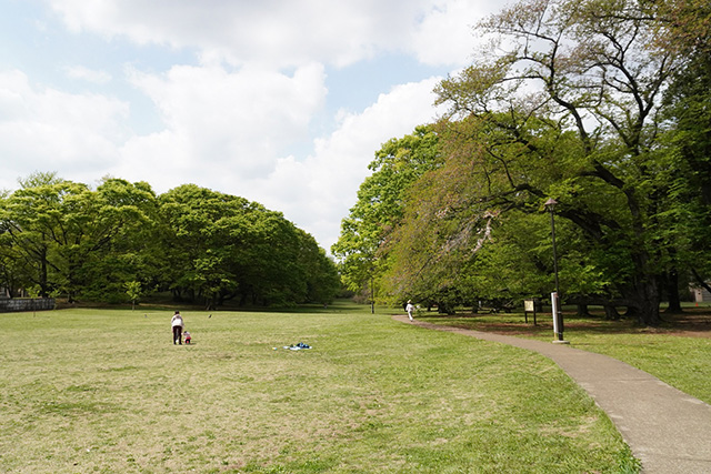 「みんなのひろば」/都立砧公園（東京都/世田谷区）