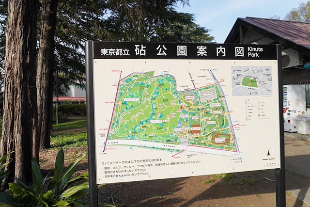 公園案内図/都立砧公園（東京都/世田谷区）