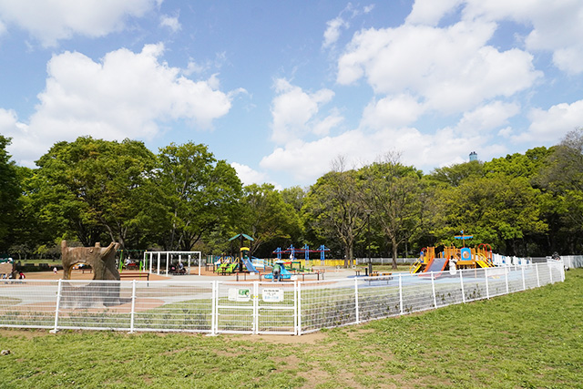 「みんなのひろば」/都立砧公園（東京都/世田谷区）