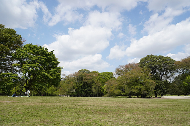ファミリーパーク/都立砧公園（東京都/世田谷区）