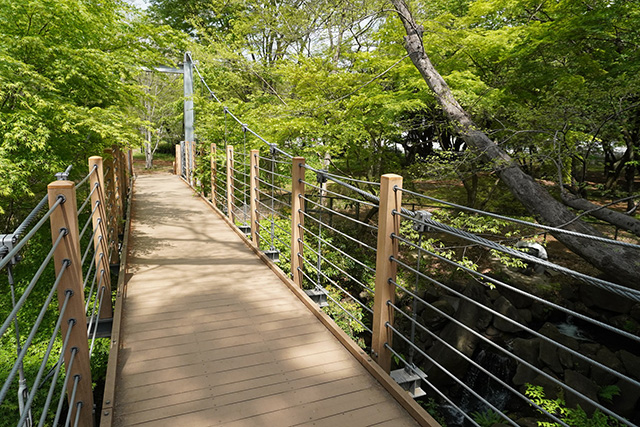 ファミリーパークのつり橋/都立砧公園（東京都/世田谷区）