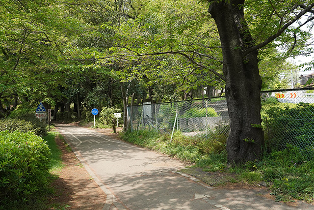 サイクリングコース/都立砧公園（東京都/世田谷区）