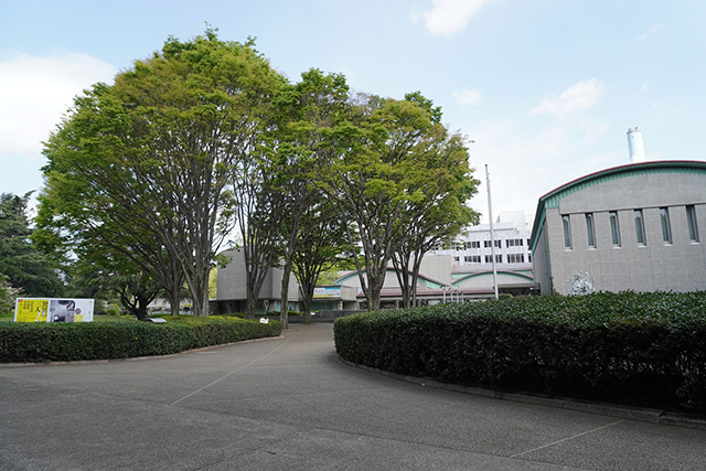 世田谷美術館/都立砧公園（東京都/世田谷区）