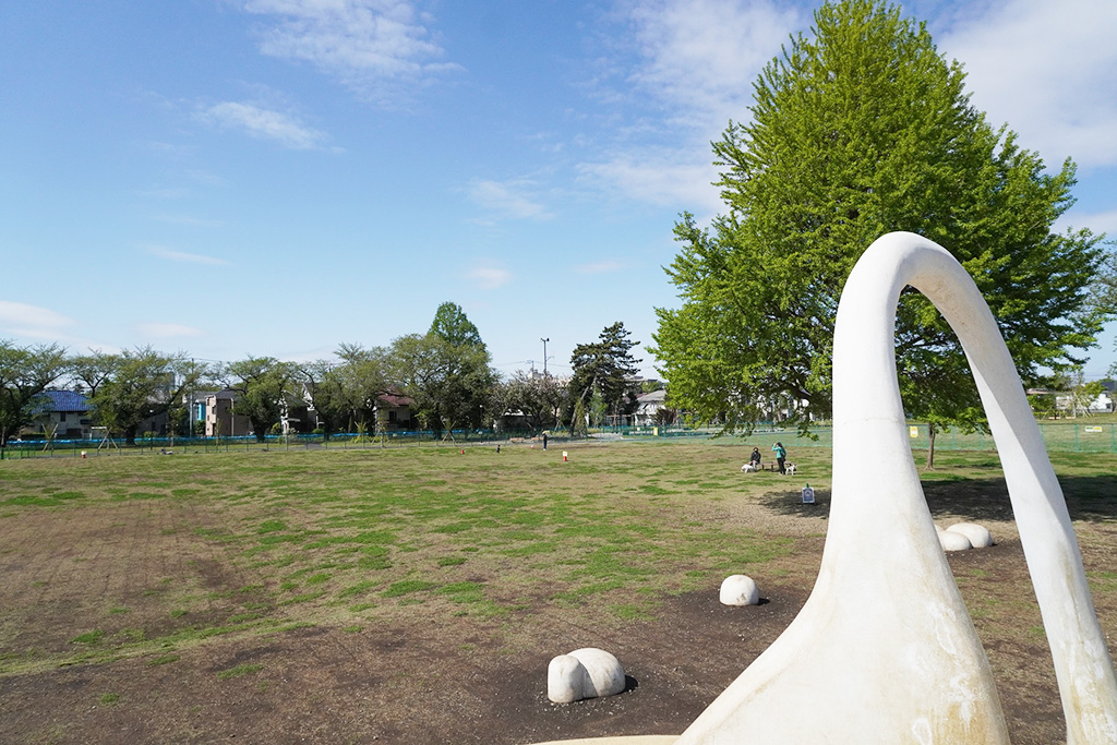 都立高井戸公園（東京都/杉並区）