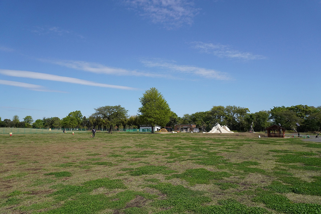 芝生広場/都立高井戸公園（東京都/杉並区）