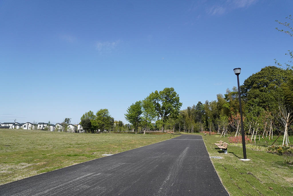 バリアフリーの園路/都立高井戸公園（東京都/杉並区）