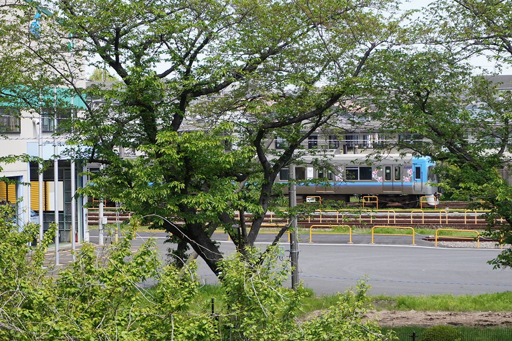 フェンス越しに見える井の頭線/都立高井戸公園（東京都/杉並区）