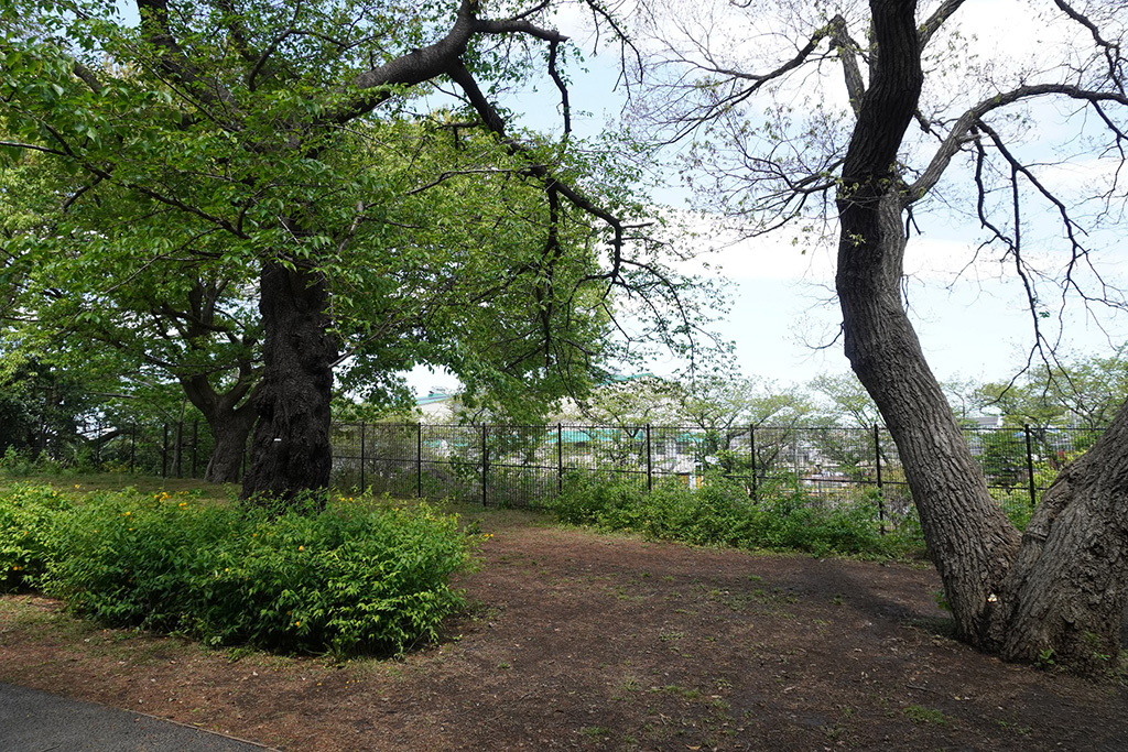 都立高井戸公園（東京都/杉並区）