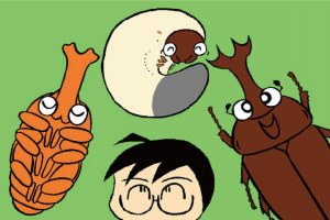 カブトムシ幼虫の上手な育て方ガイド！水や温度・オスメス見分け方・マット交換の時期
