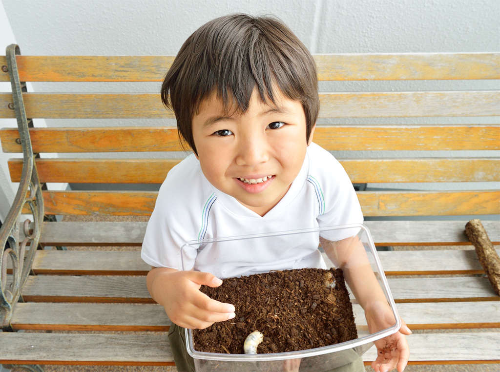 カブトムシの幼虫と子ども
