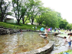 埼玉県の水遊びスポット10選(2025)じゃぶじゃぶ池や噴水広場、無料の親水公園も