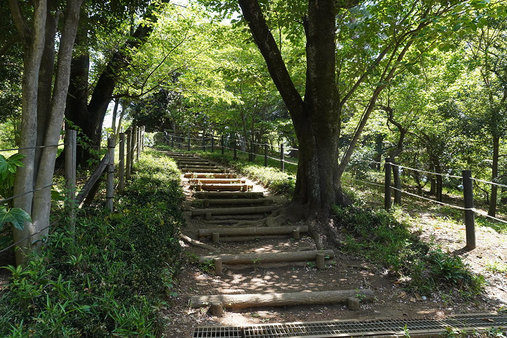 羽根木公園（東京都/世田谷区）