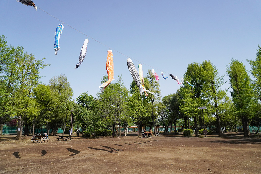 樹木広場のこいのぼり/羽根木公園（東京都/世田谷区）