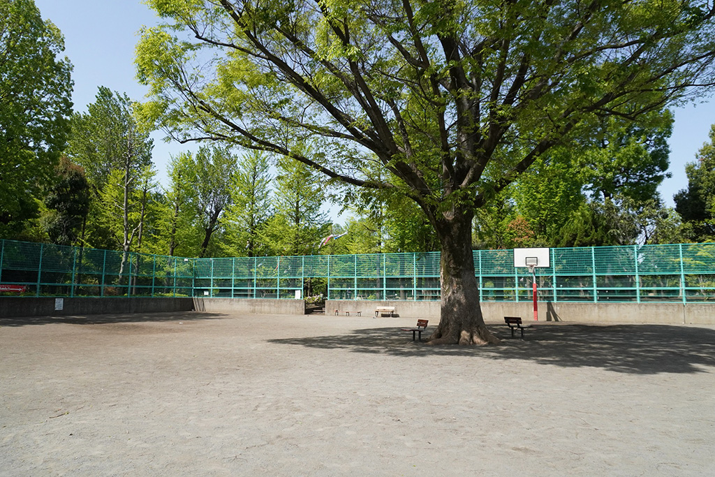 球戯広場/羽根木公園（東京都/世田谷区）