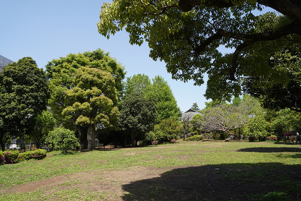 はらっぱ広場/羽根木公園（東京都/世田谷区）