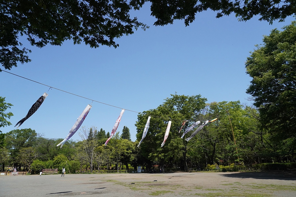 広場に飾られたこいのぼり/世田谷公園（東京都/世田谷区）