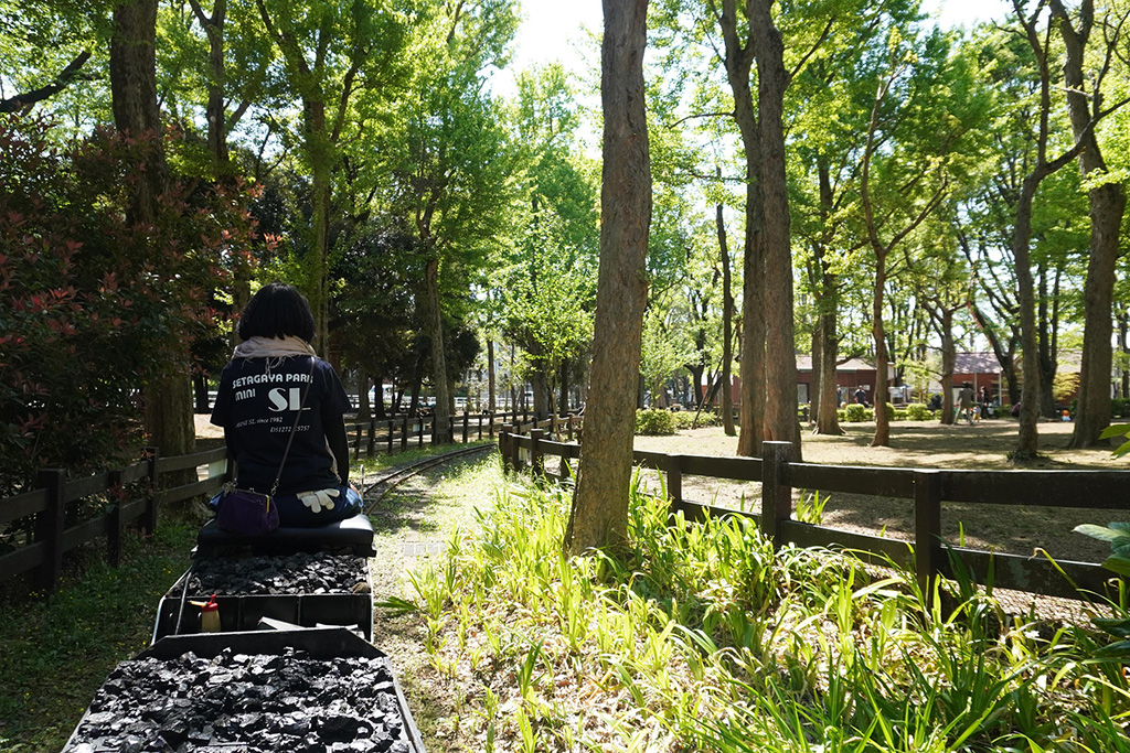 SL「ちびくろ号」の乗った様子/世田谷公園（東京都/世田谷区）