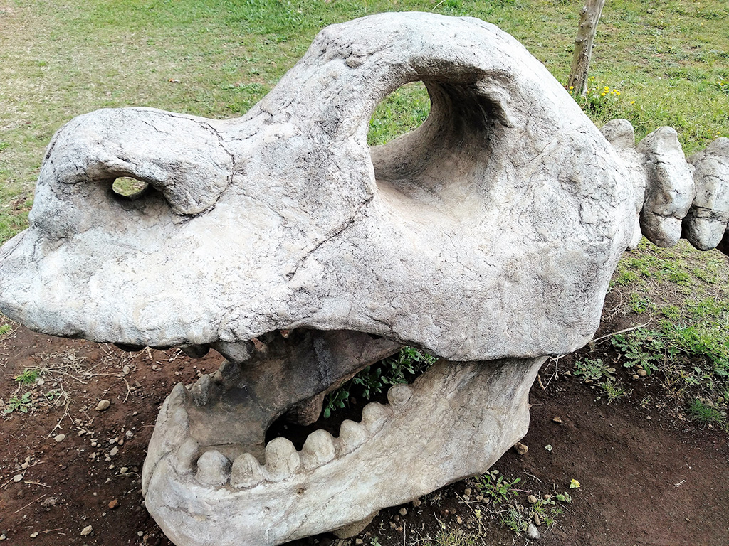 /恐竜広場（小室山公園内）（静岡県/伊東市）