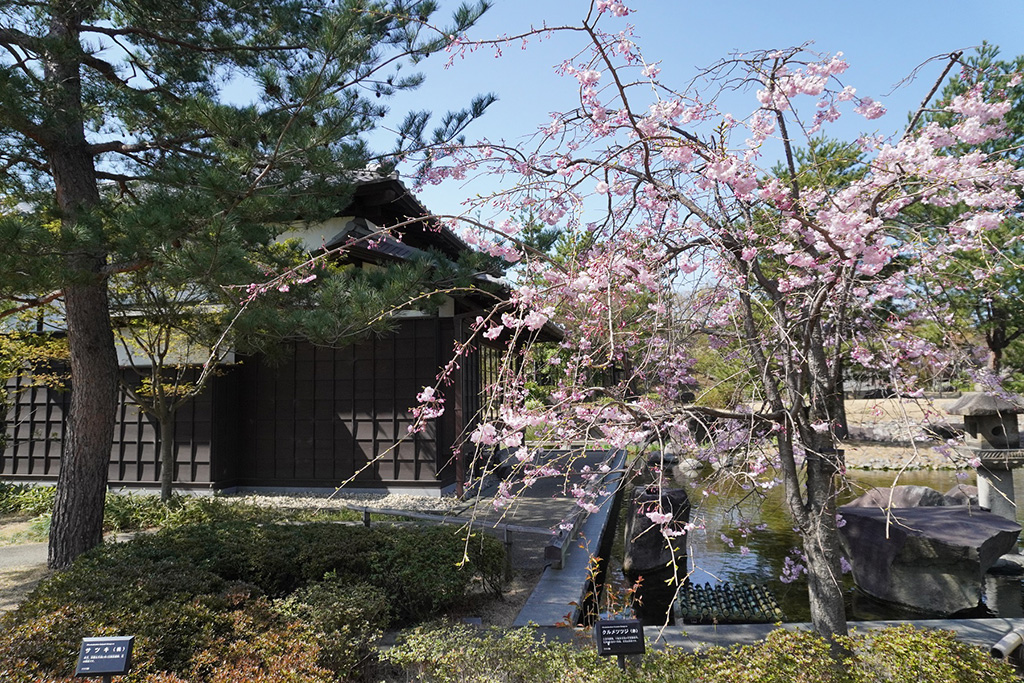 日本庭園「帰真園」/二子玉川公園（東京都/世田谷区）