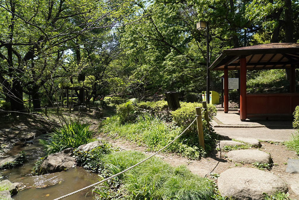 「湧水池」/都立祖師谷公園(東京都/世田谷区)