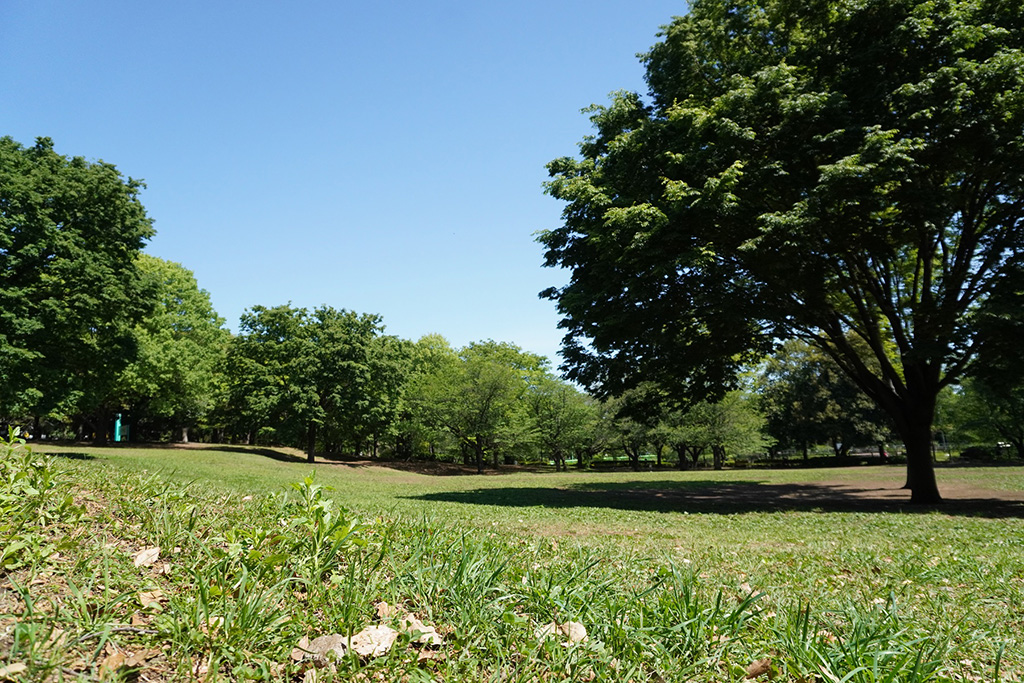 「原っぱ広場」/都立祖師谷公園(東京都/世田谷区)