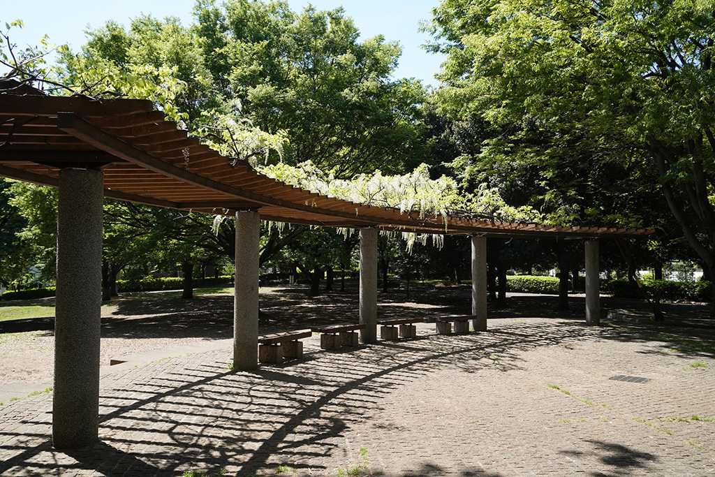 入口付近の藤棚/都立祖師谷公園(東京都/世田谷区)