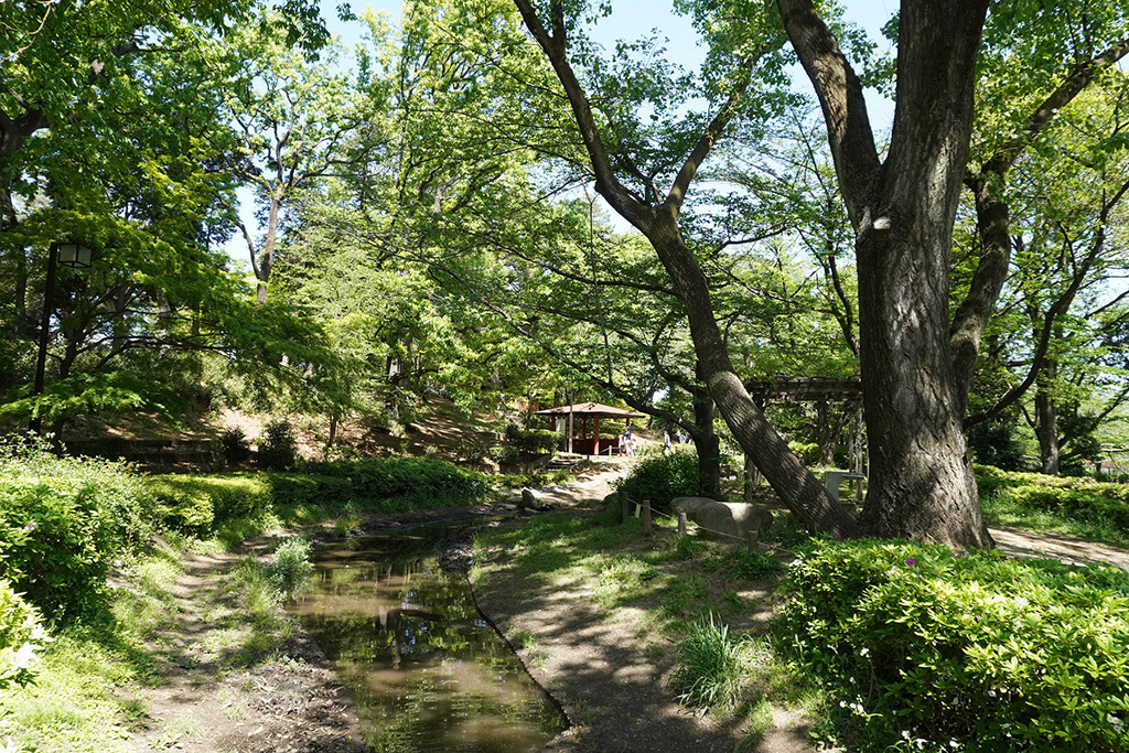 「湧水池」/都立祖師谷公園(東京都/世田谷区)