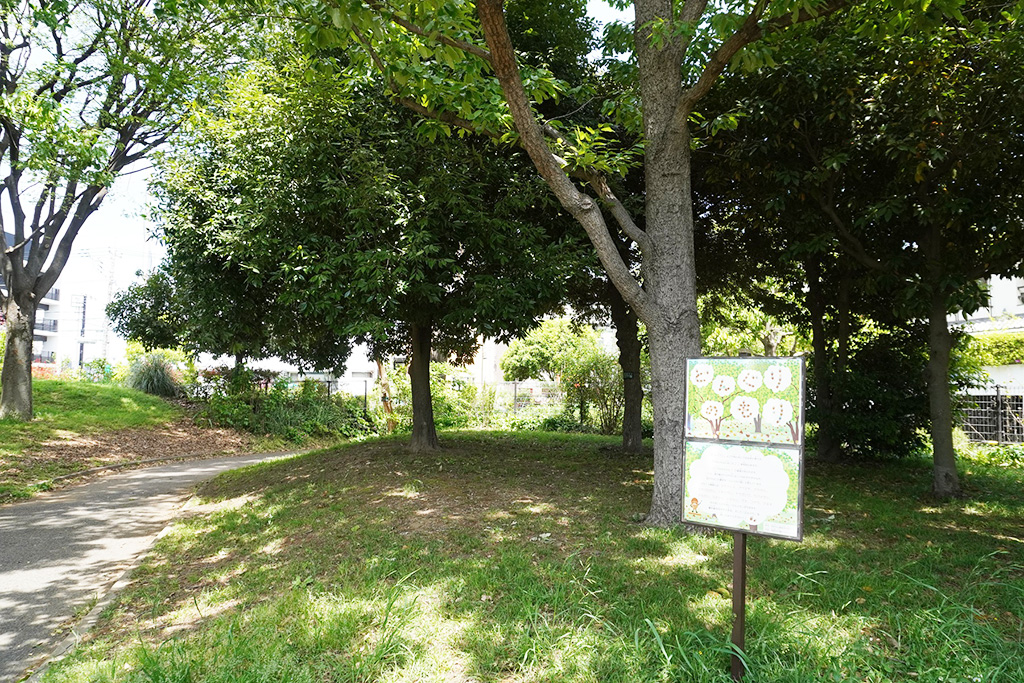 どんぐりのもり/都立祖師谷公園(東京都/世田谷区)