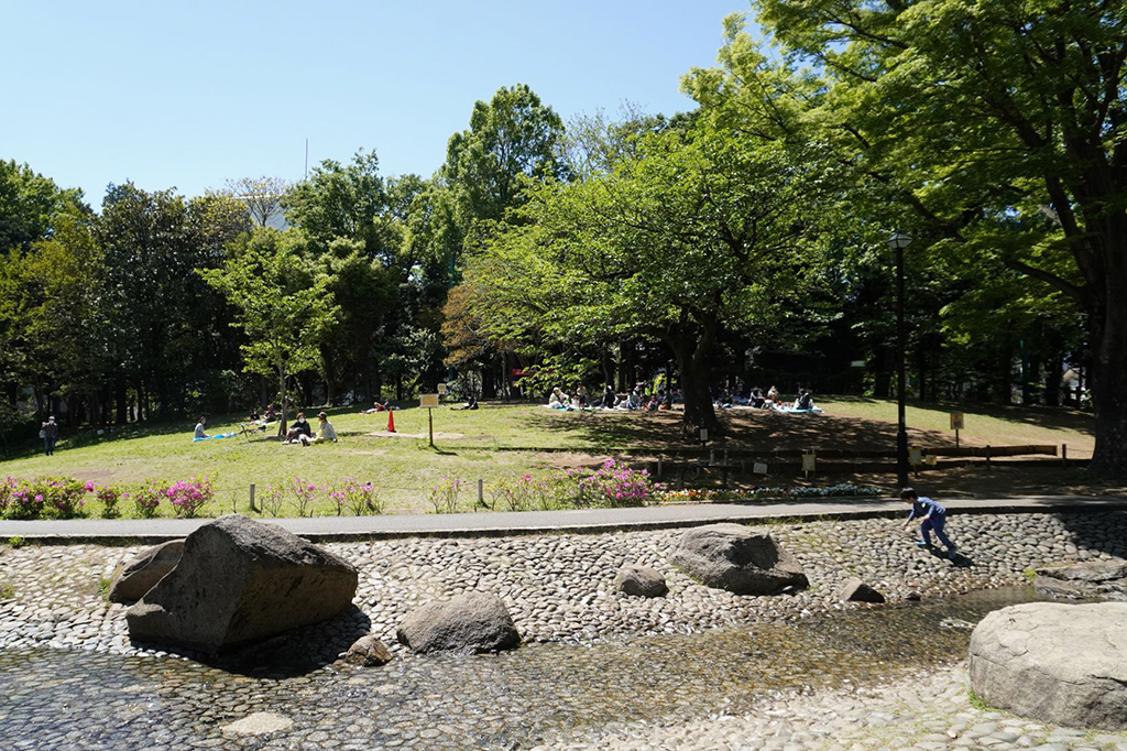 「いこいの広場」/蚕糸の森公園（東京都/杉並区）