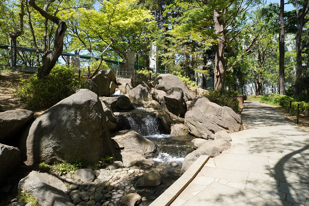 大滝の裏にあたる岩場/蚕糸の森公園（東京都/杉並区）