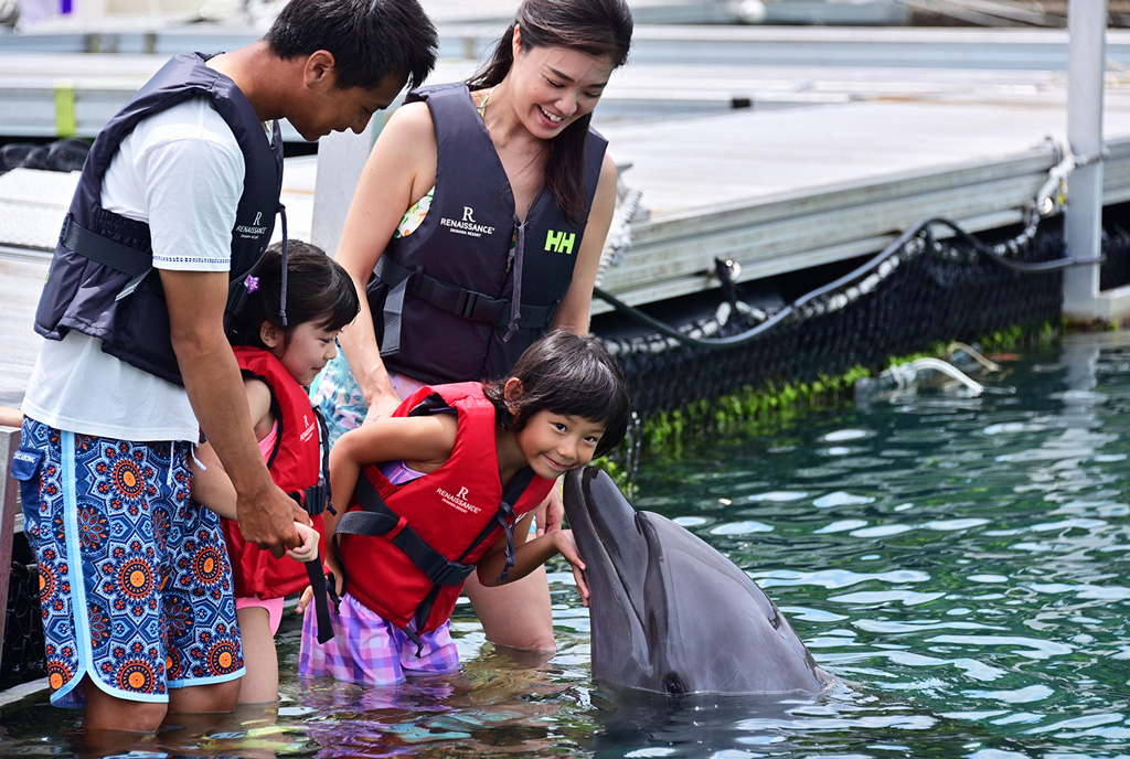ファミリードルフィン/ルネッサンス リゾート オキナワ（沖縄県/恩納村）