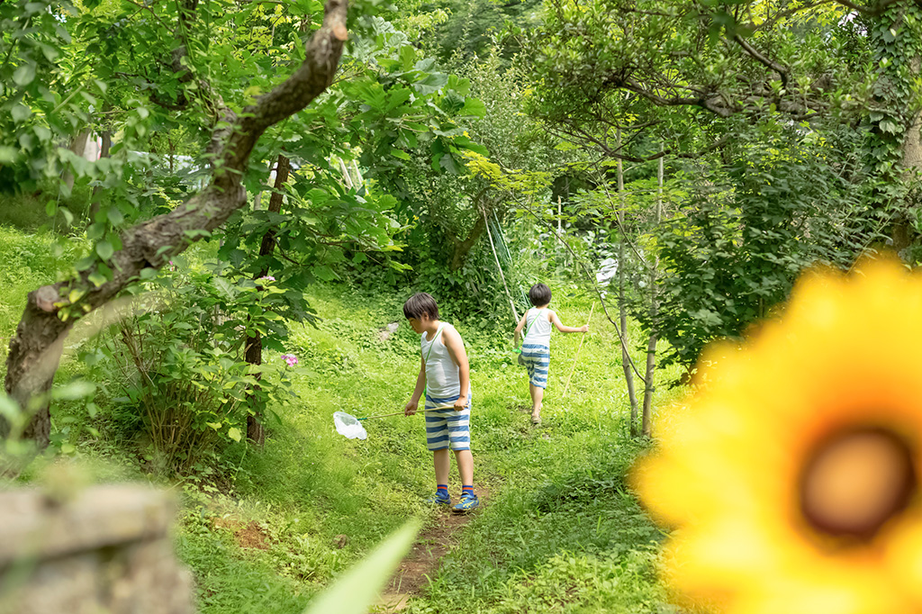 虫取りをする子ども(イメージ)