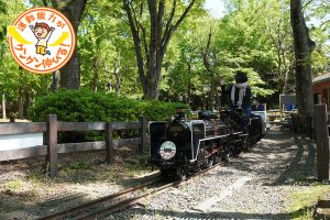 ミニSLが走る世田谷公園(世田谷区)は、乗り物大好きキッズ憧れの場所!