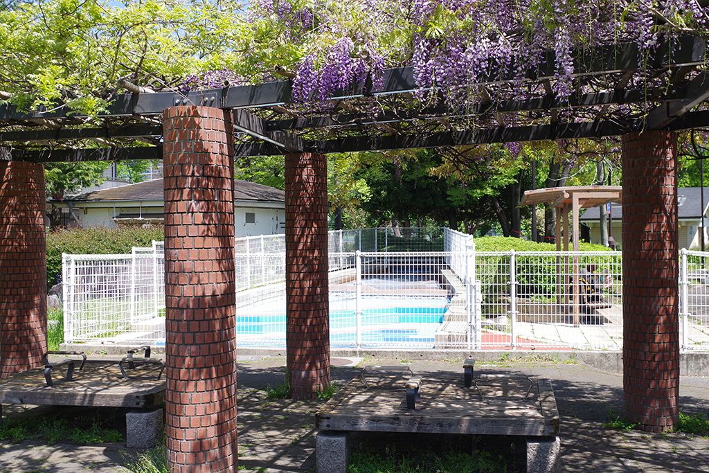じゃぶじゃぶ池/東綾瀬公園（東京都/足立区）